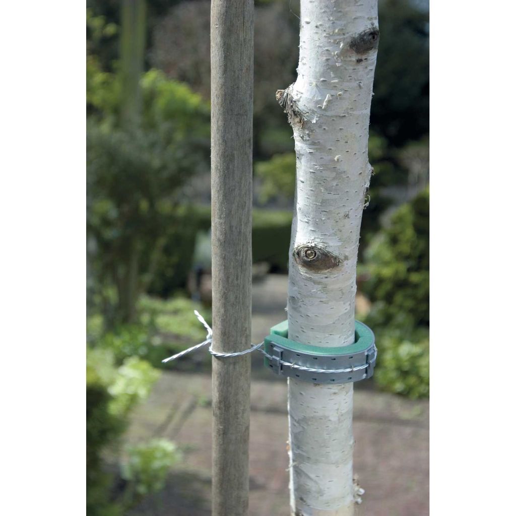 Soft foam tree tie