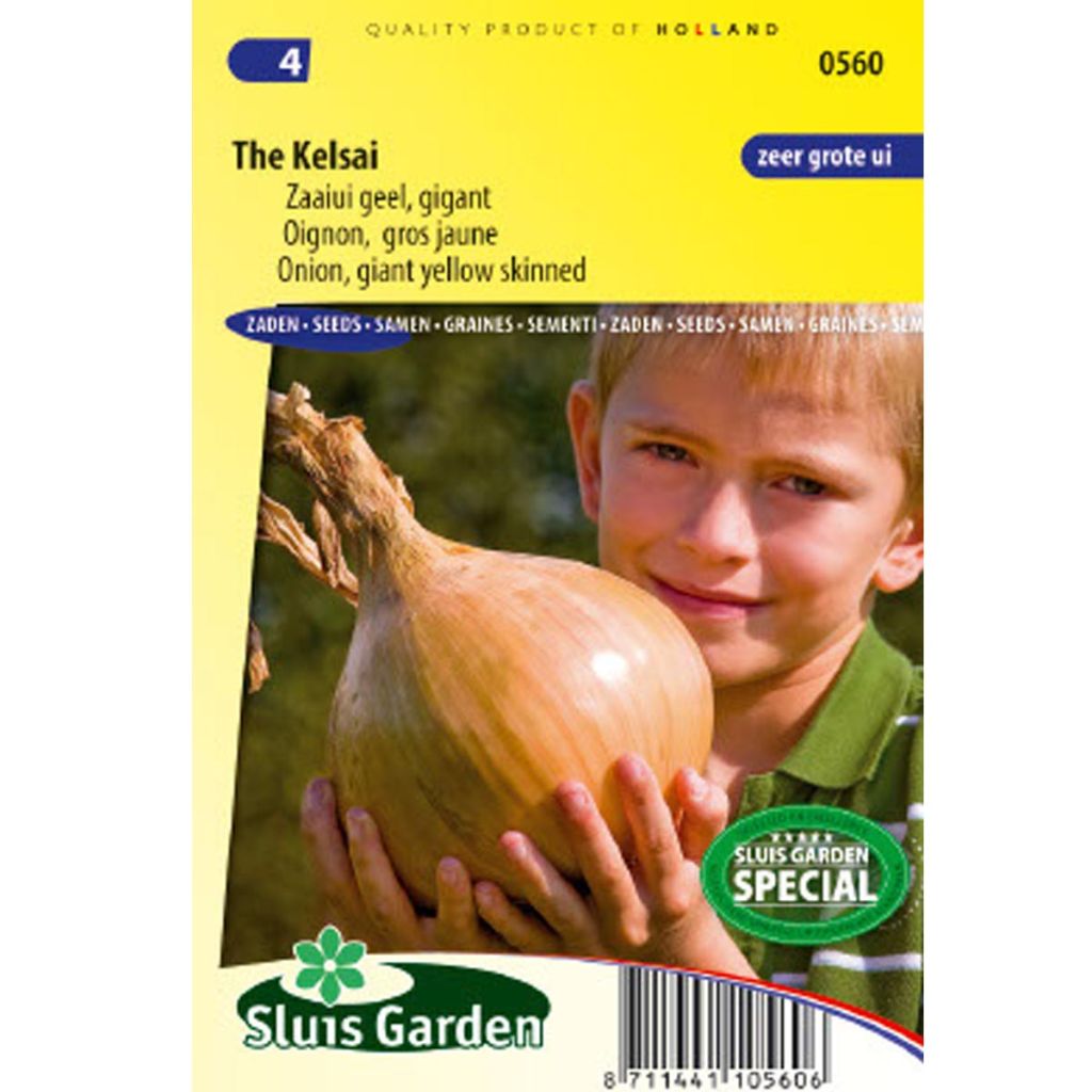 Giant Onion Kelsae