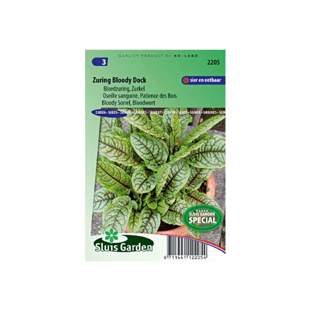 Rumex sanguineus Seeds