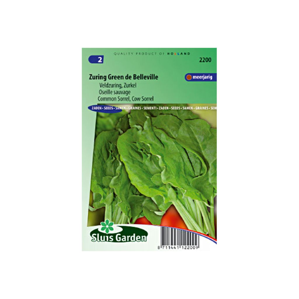Wild sorrel - Rumex acetosa - seeds
