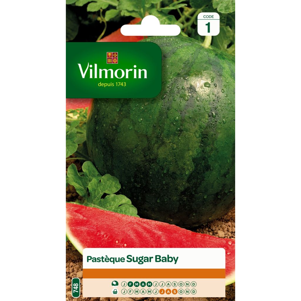 Citrullus lanatus Sugar Baby - Vilmorin Seeds