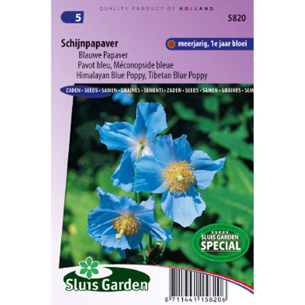Meconopsis betonicifolia Seeds - Blue Poppy