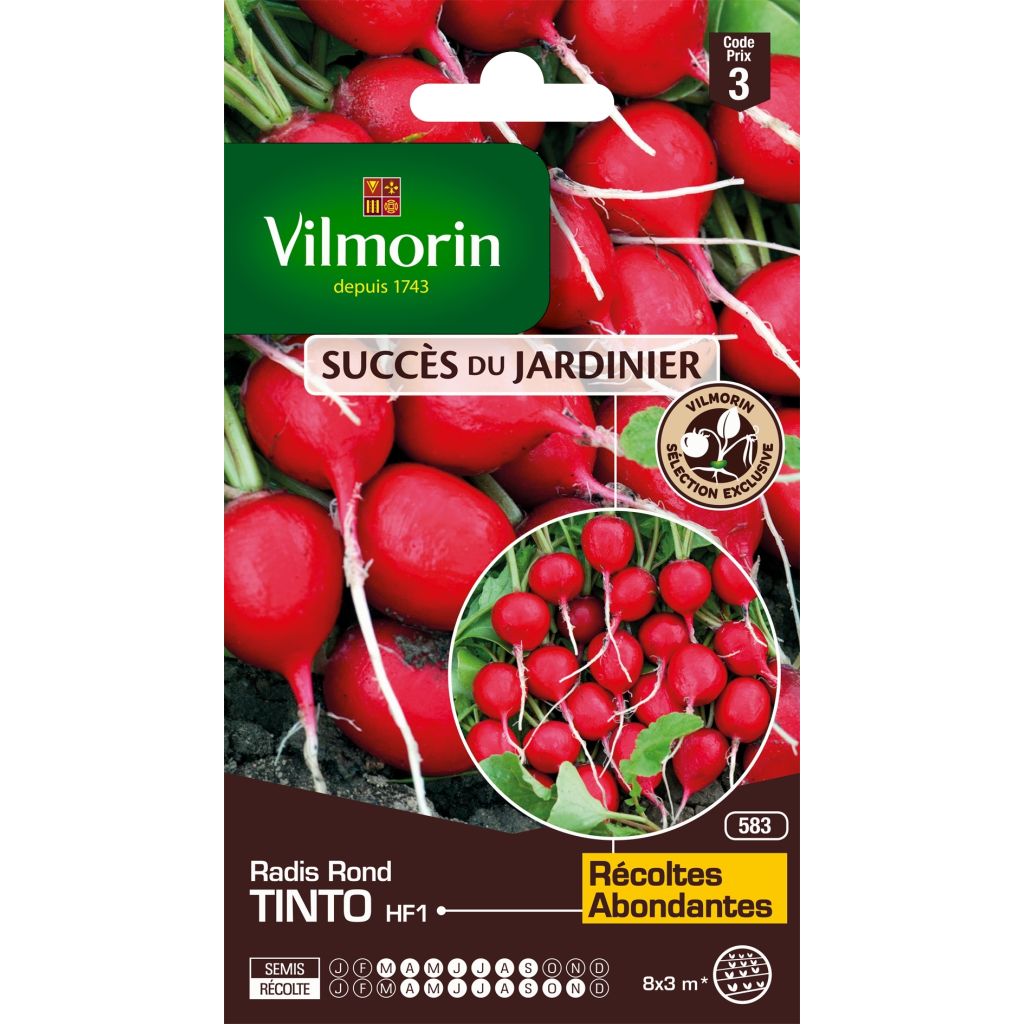 Radis Tinto F1 (Création Vilmorin) - Vilmorin
