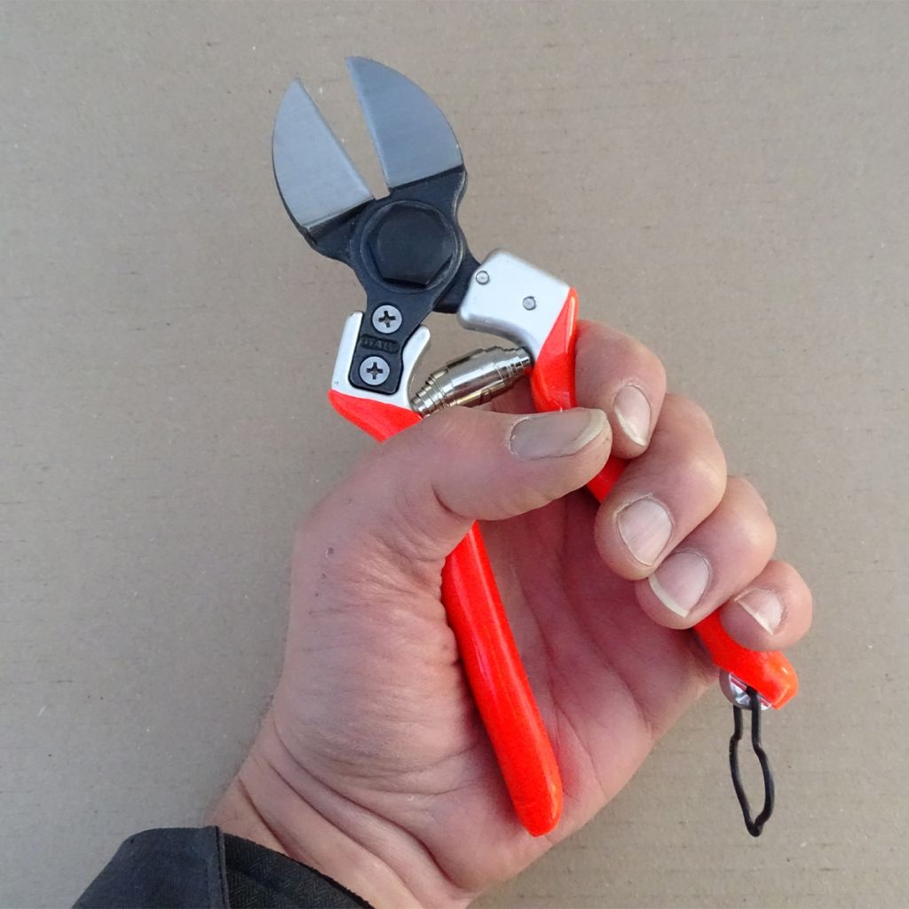 Lady II Pruning Shears - Double Blade