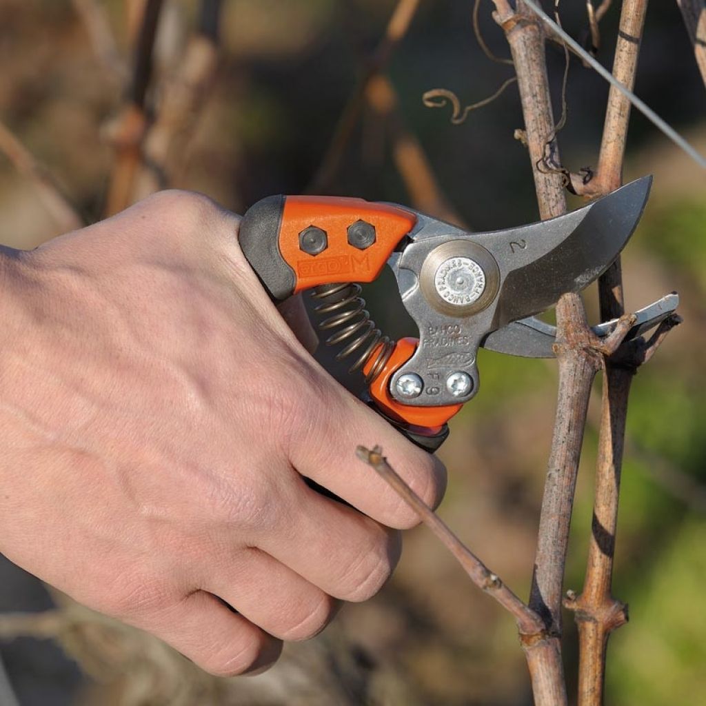 Bahco PX-S2 -Professional Ergonomic Pruning Shears - Size S - Head n°2