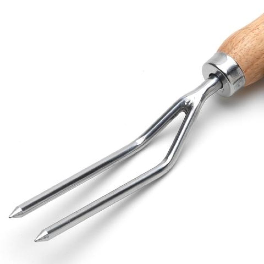 Burgon & Ball RHS Collection - Two-Pronged Dutch Hoe