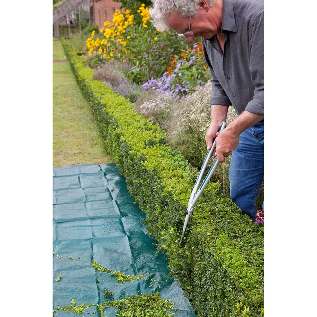 Pruning shears for boxwood Burgon & Ball - RHS Range.