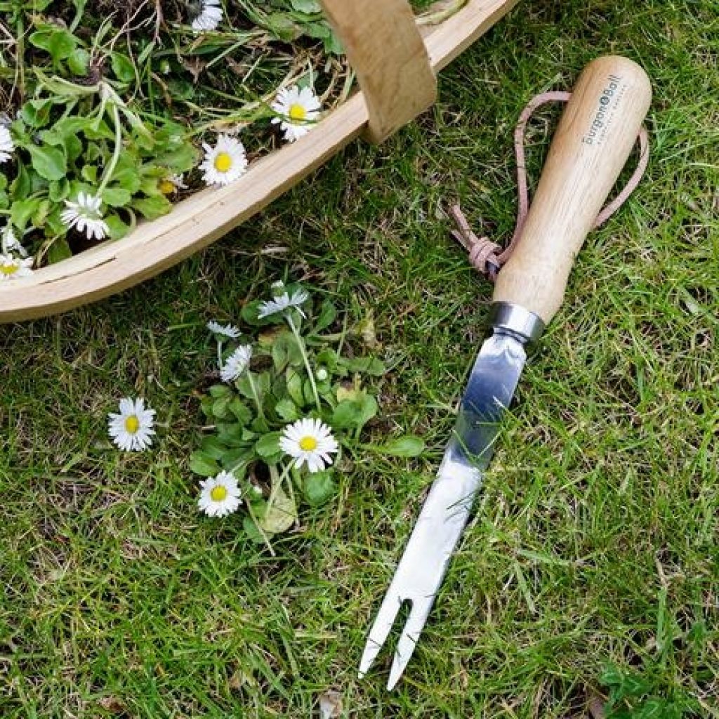 Burgon & Ball Angled Dandelion Puller - RHS Series