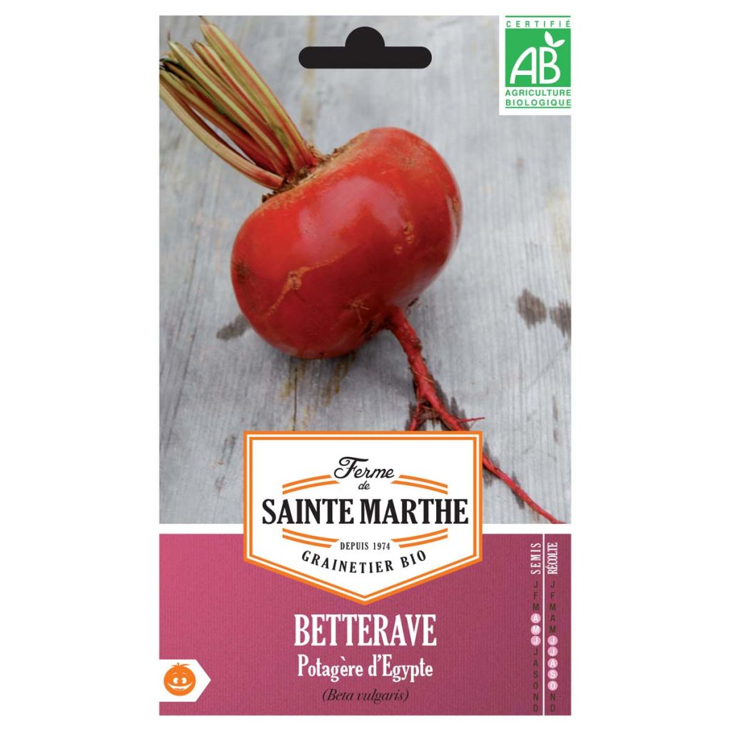 Flat of Egypt Beetroot - Ferme de Sainte Marthe Seeds