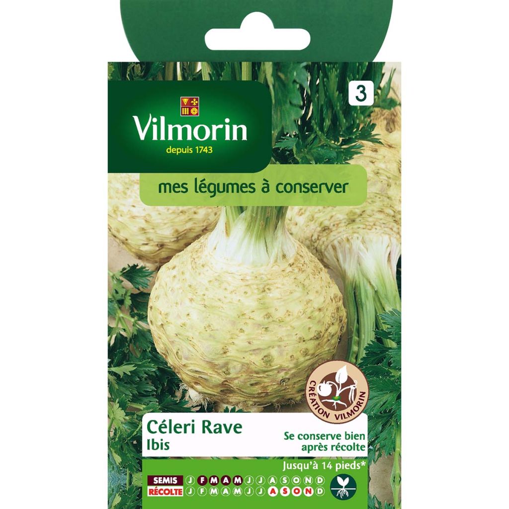 Celeriac Ibis - Vilmorin Seeds