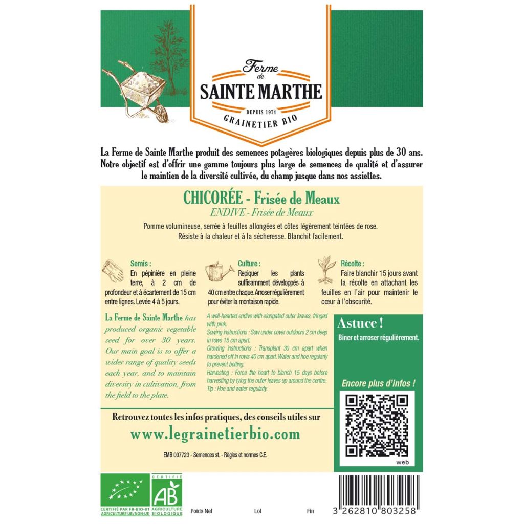 Frisée endive Fine de Meaux (Chicory) - Ferme de Sainte Marthe Seeds