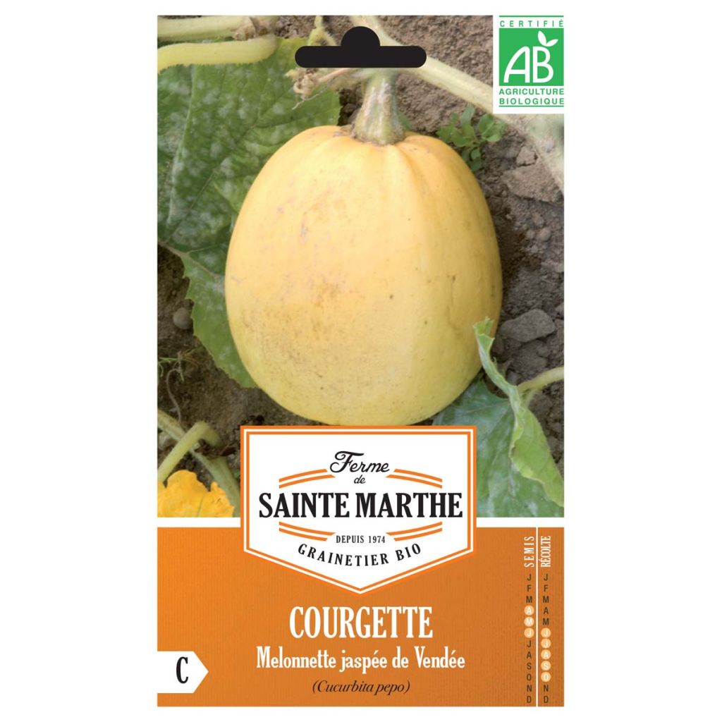Cucurbita pepo Melonnette Jaspée de Vendée organic seeds - Winter squash