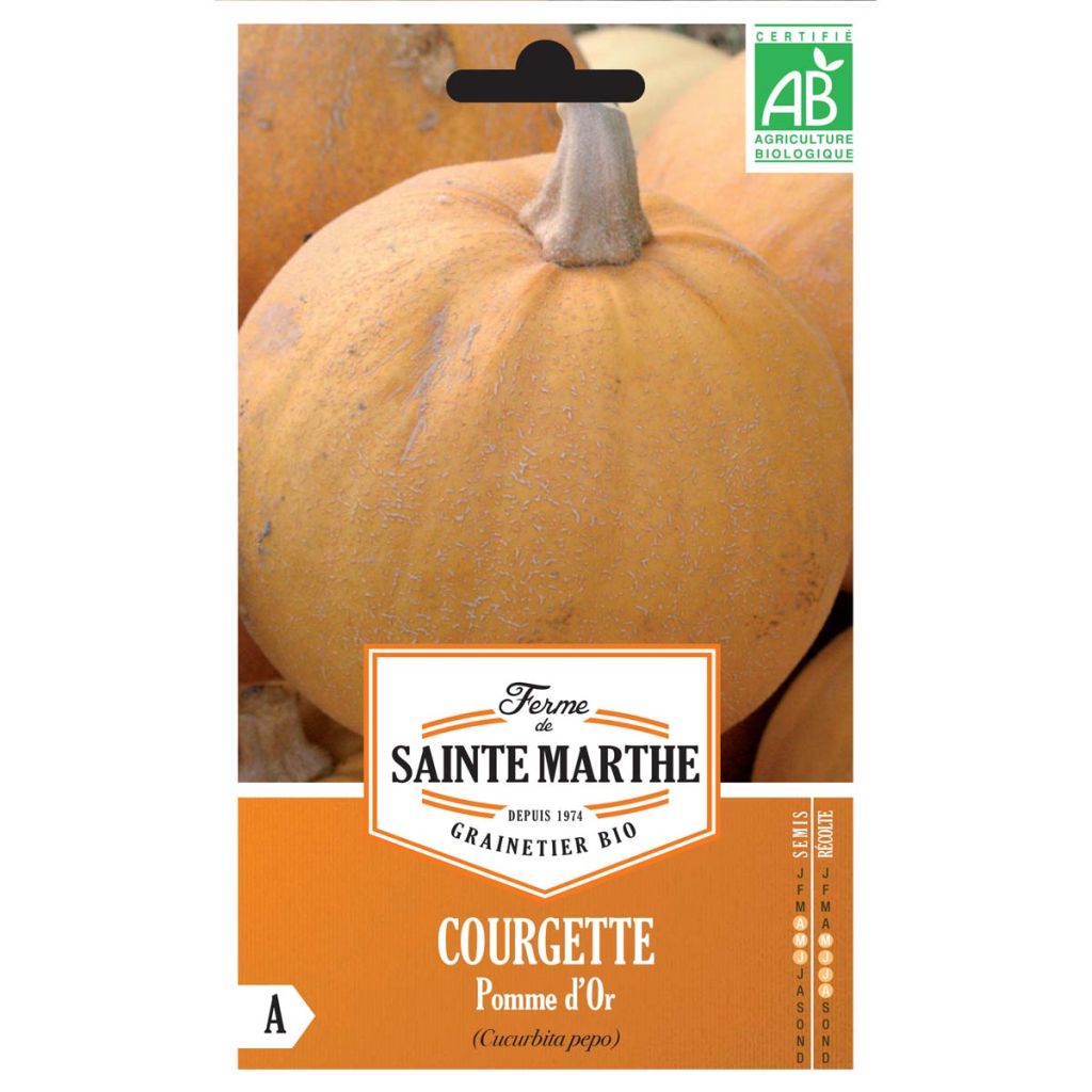 Summer Squash Pomme d'Or organic seeds - Cucurbito pepo