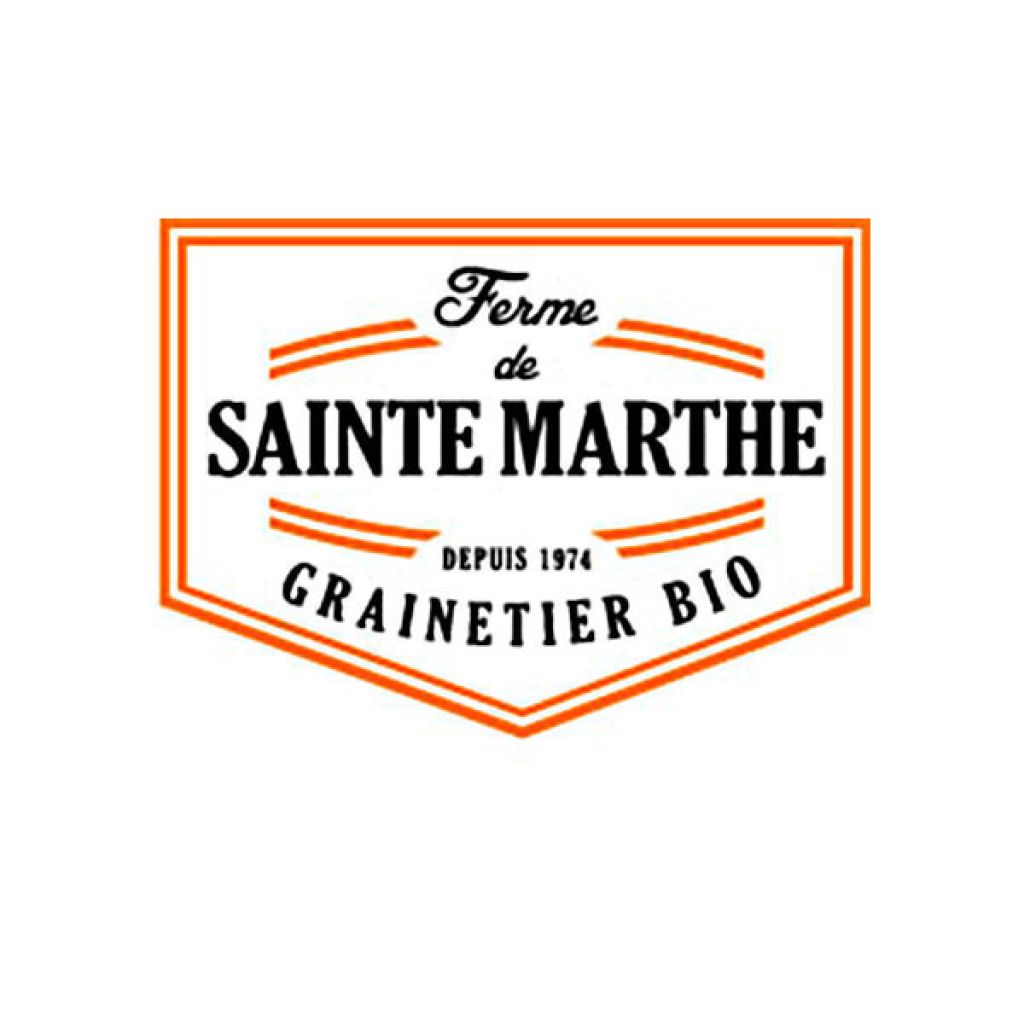 Hon Tsai Tai - untreated Chinese Cabbage seeds - Ferme de Sainte Marthe seeds
