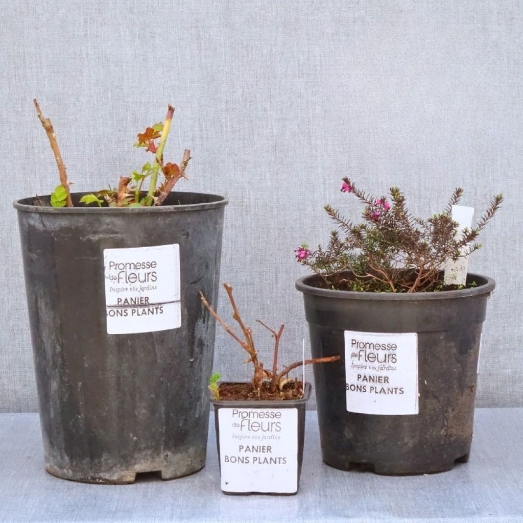 Zero waste basket