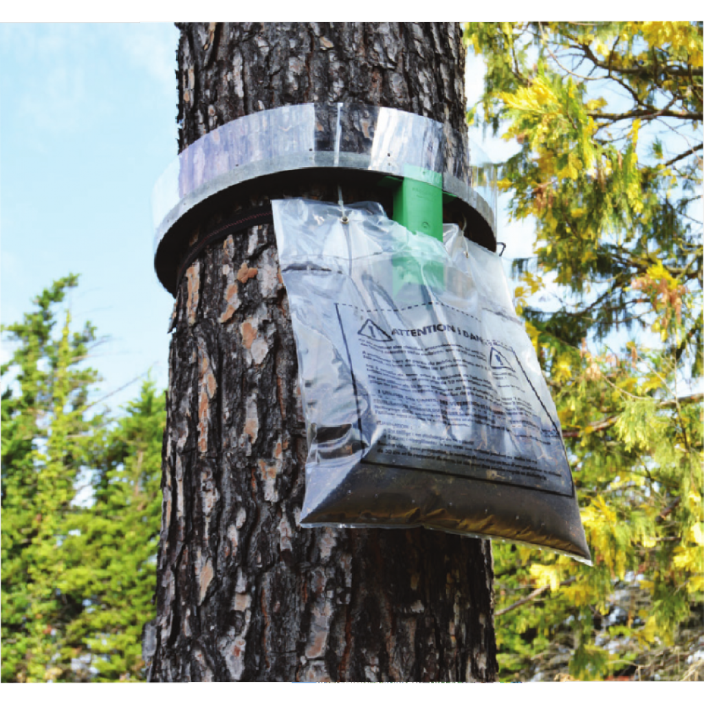 Protecta Severe Infestation Kit for Pine Processionary Caterpillar Descent