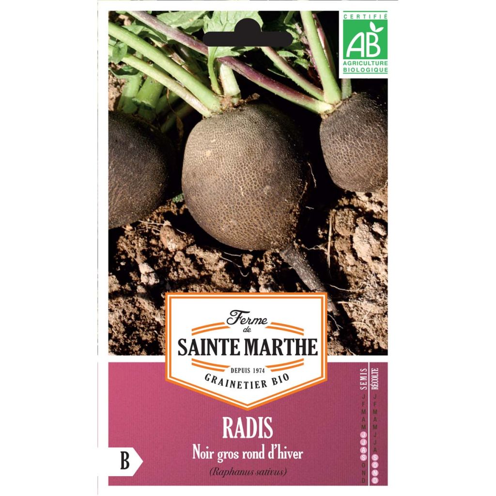 Radish Noir Gros Long d'Hiver - Ferme de Sainte Marthe Seeds