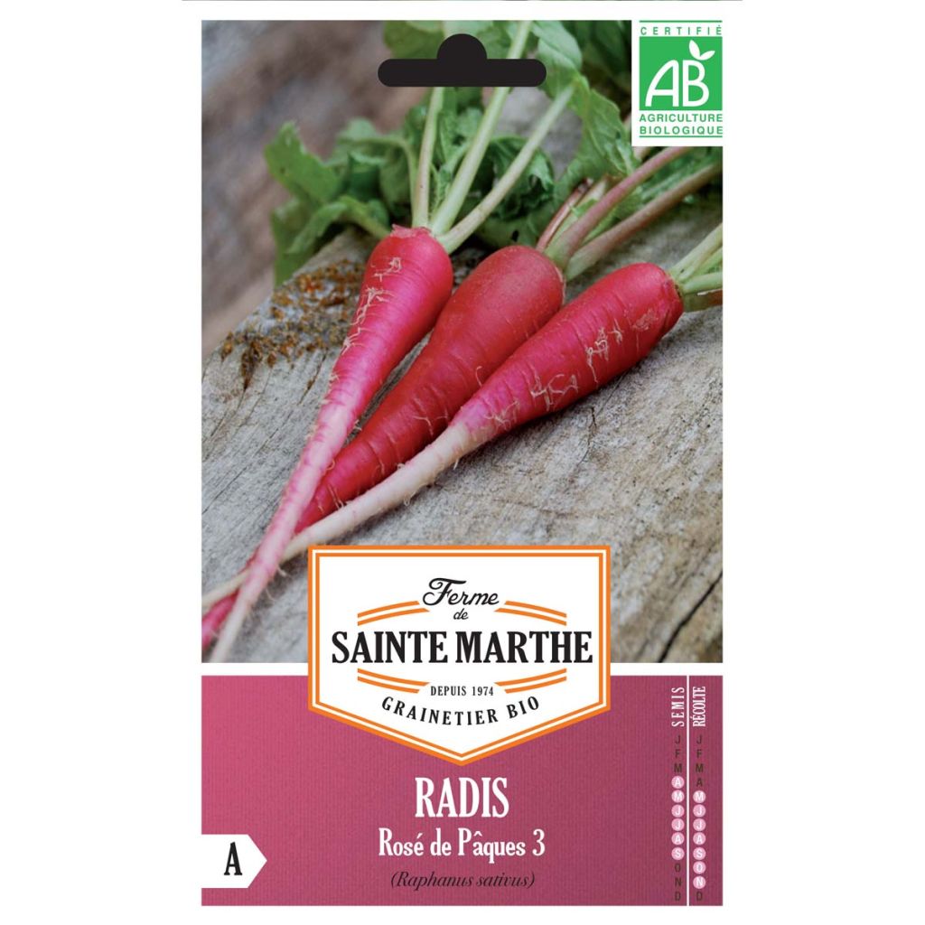 Radish Rose de Pâques 3 - Ferme de Sainte Marthe Seeds