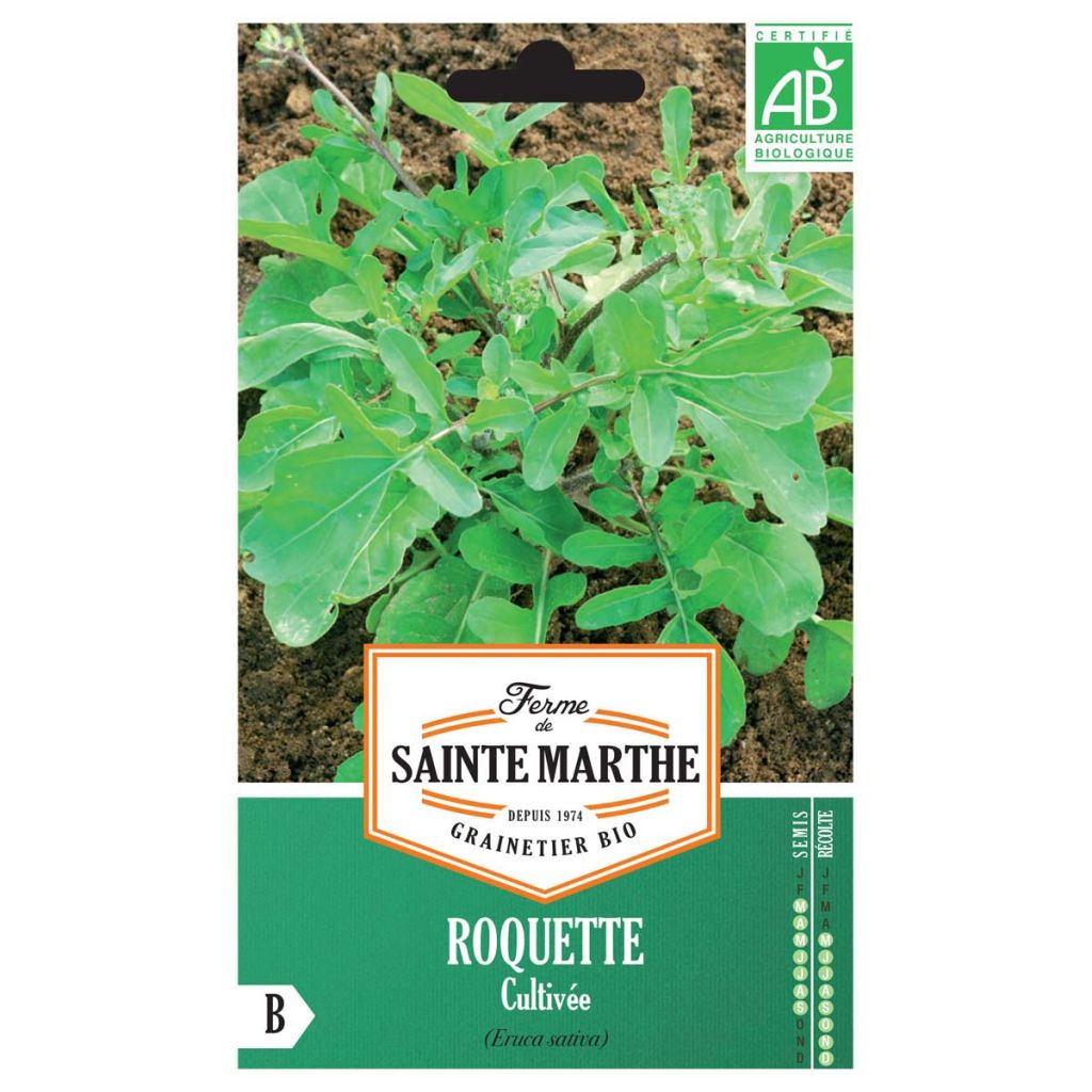 Rocket - Arugula - Ferme de Sainte Marthe Seeds