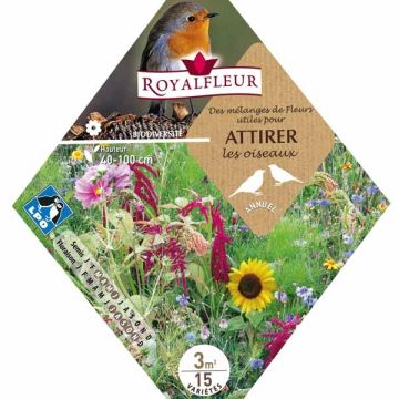 Bird Care Mix - Packet for 3m2
