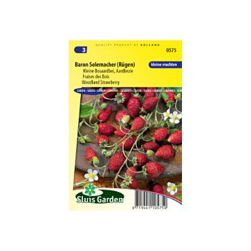 Fragaria vesca 'Baron Solemacher'