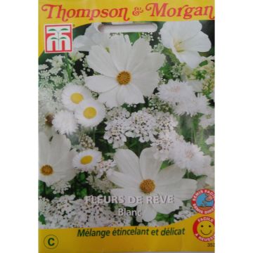 White dream flower seeds