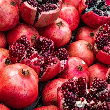 Punica granatum Acco - Pomegranate