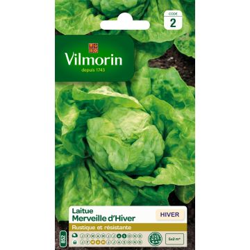 Laitue d'Hiver Merveille d'Hiver - Vilmorin