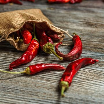 Piment De Cayenne - Vilmorin