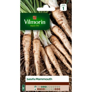 Mammoth Salsify - Vilmorin seeds