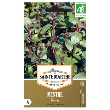 Organic Mentha piperita