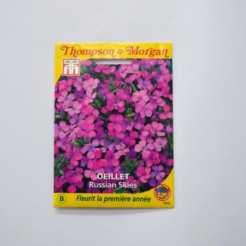  Dianthus Russian Skies Seeds