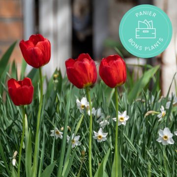 Promesse de Fleurs' anti-waste bulbs basket