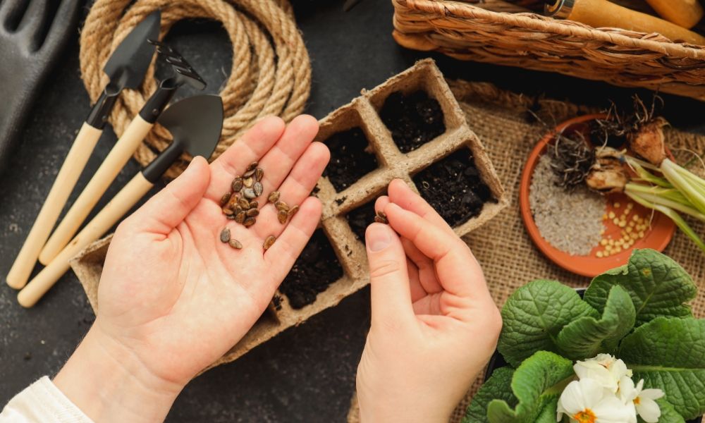 EVERYTHING YOU NEED TO START YOUR SEEDS!