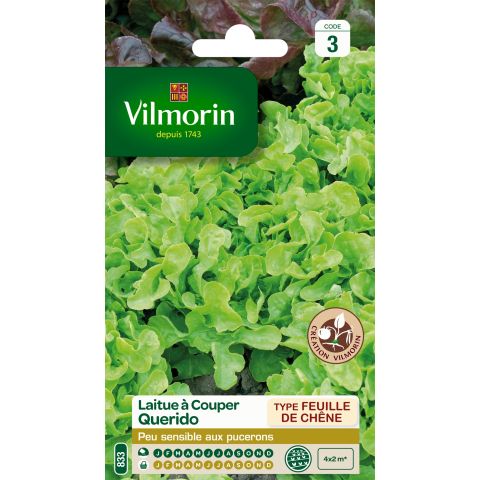 Loose leaf Lettuce Querido - Vilmorin Seeds - Resistant to aphids