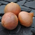 Onion heads