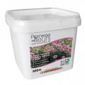 Rose fertilisers