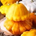 Graines de Pâtissons