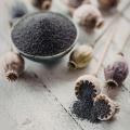 Organic Flower Seeds