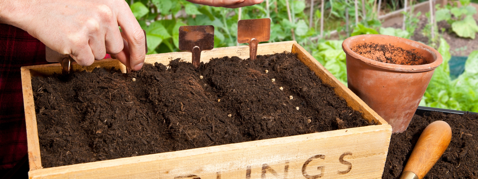 Seed-sowing <i> supplies</i>