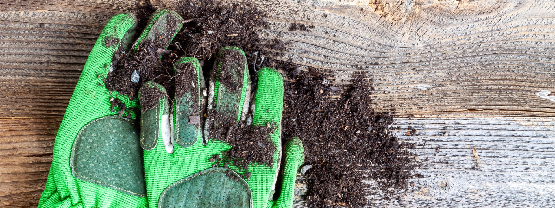 <i>Clothing</i> FOR THE GARDEN